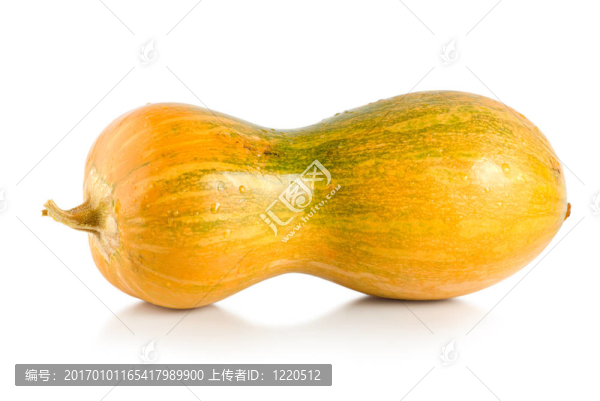 黃南瓜