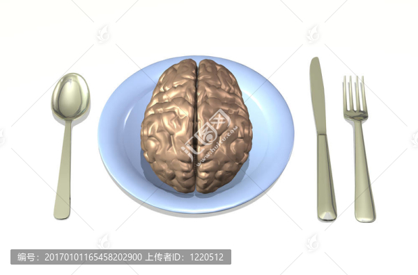 大腦的食物