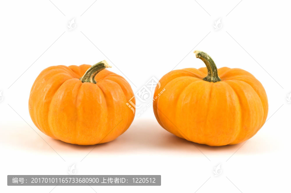 小南瓜
