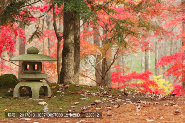日本花園