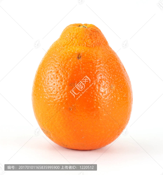 成熟的明尼桔-匯圖網(wǎng) www.fosd68.com 成熟的明尼桔