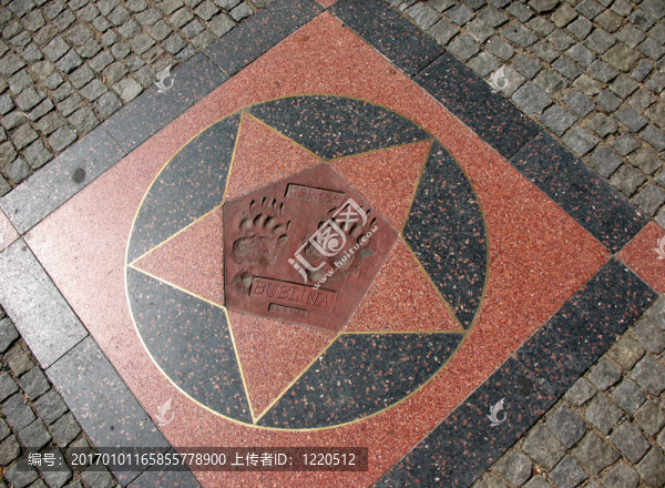 有趣的胡同明星布拉格動物園