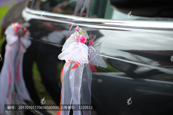 婚禮慶典用的優(yōu)雅汽車