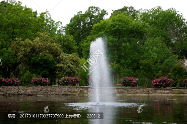 公園的黃昏