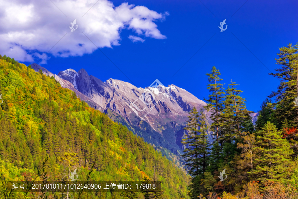 雪山森林,九寨溝