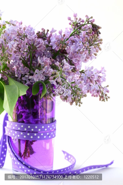 束紫丁香花