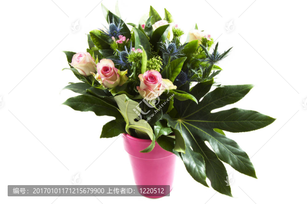 可愛的花束