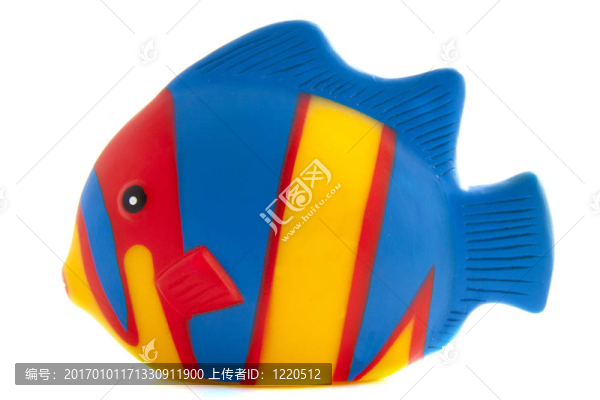 熱帶魚(yú)