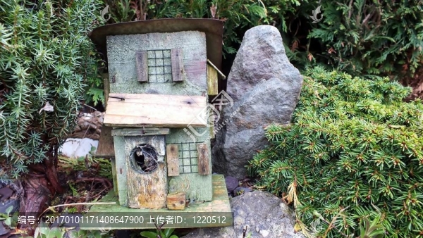 微型花園