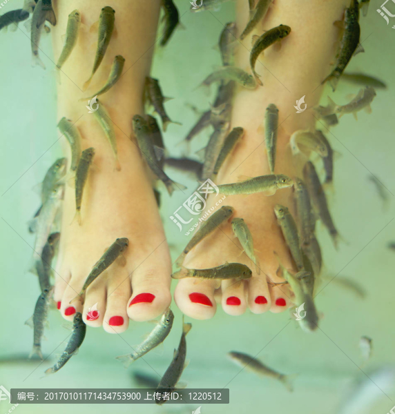 溫泉魚足療