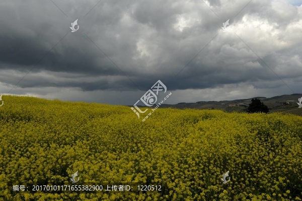戲劇性的天空