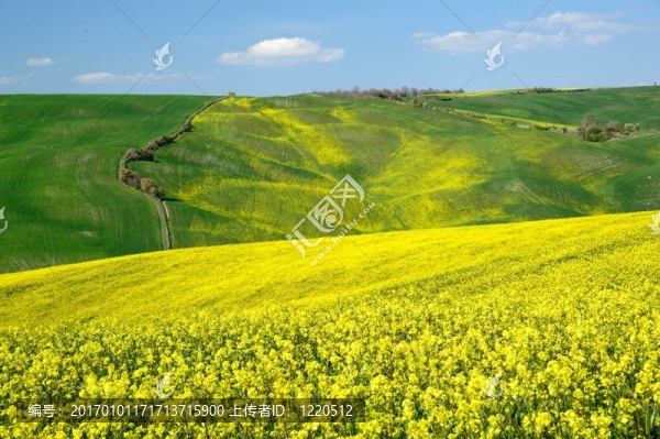 Val,d,Orcia（托斯卡納）