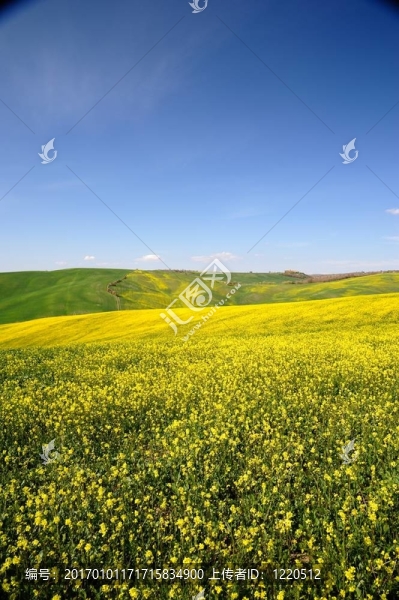 Val,d,Orcia（托斯卡納）