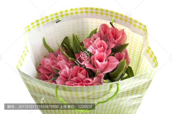 tulipbag