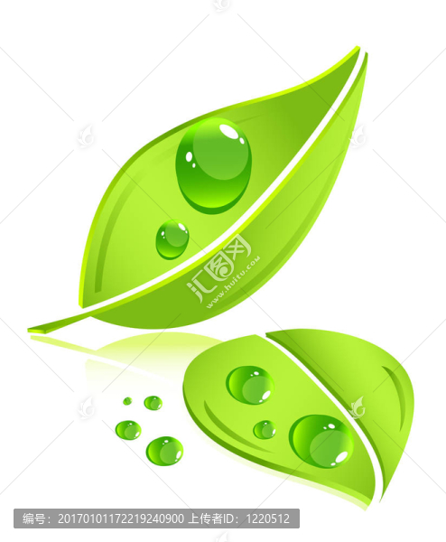 水性落葉概念