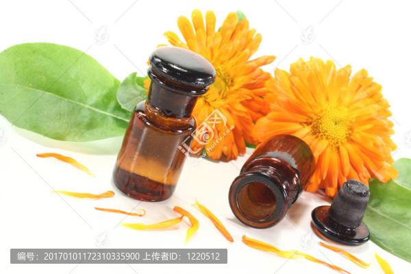 金盞花酊鮮花瓣