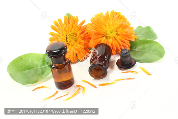 金盞花酊與花瓣