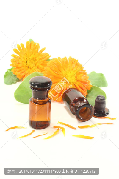 金盞花酊鮮花