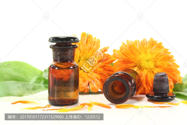 金盞花酊