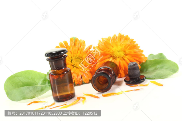 金盞花酊
