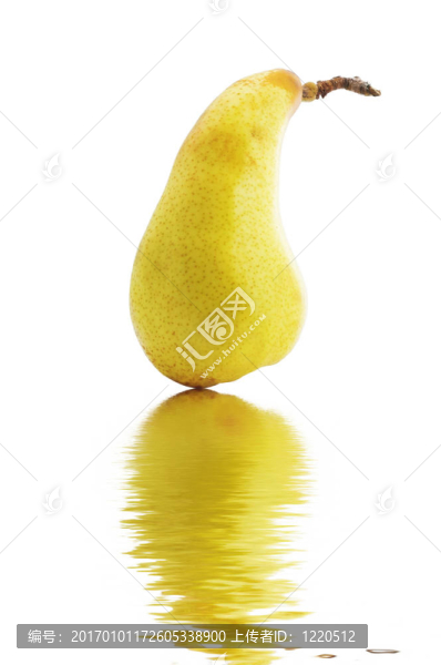 梨的企鵝