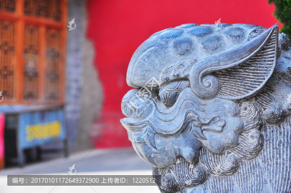 神圣的動(dòng)物