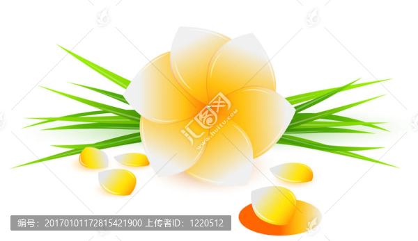 摘要花卉背景