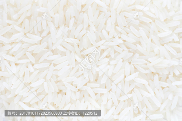白米飯?zhí)貙戠R頭
