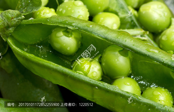 新鮮豌豆