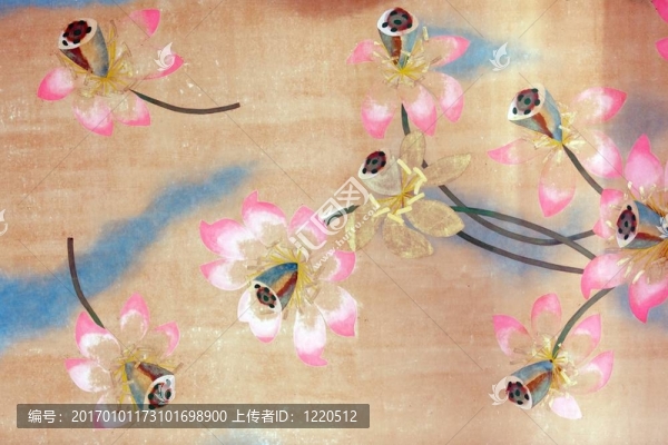 荷花畫