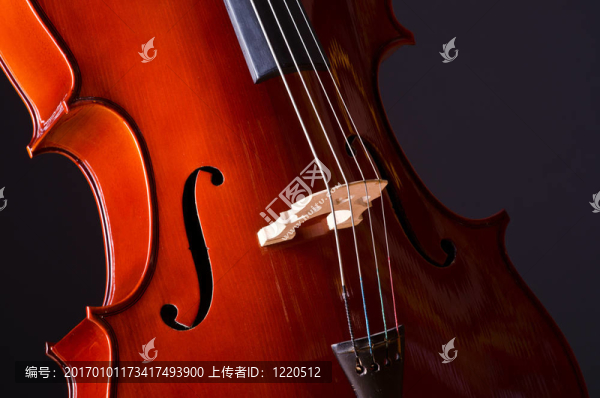 在黑暗的房間里音樂的大提琴