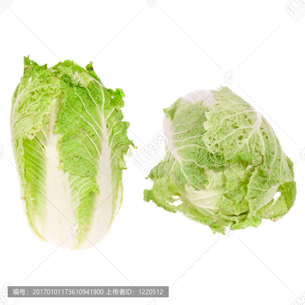 白菜；中國；