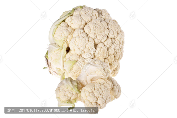 菜花；