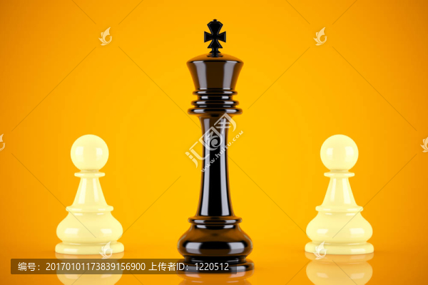領(lǐng)導(dǎo)力的概念