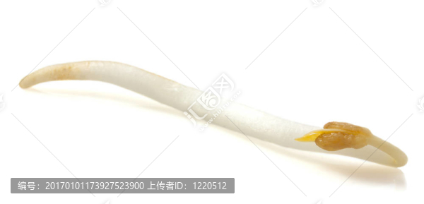 發(fā)芽豆