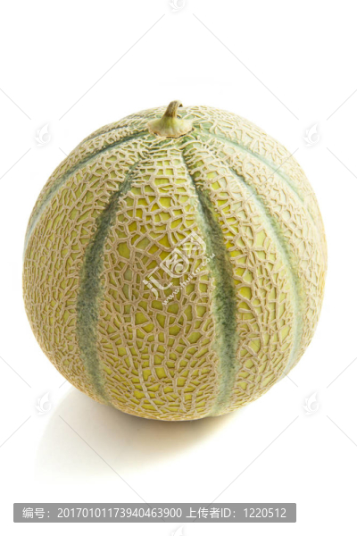 新鮮的甜瓜