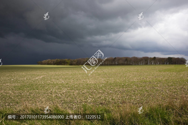 暴風(fēng)雨的fieldscape