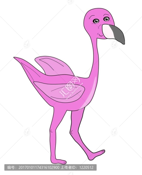 火烈鳥鳥