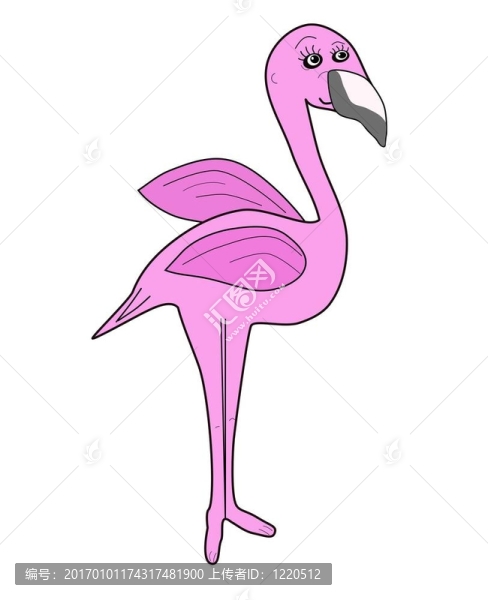 少女的粉紅色的火烈鳥(niǎo)