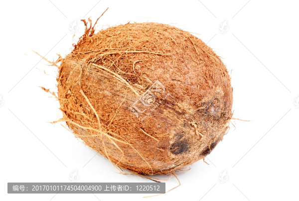 白色的椰子