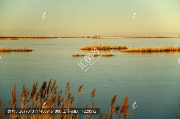 蘆葦和Oland大橋