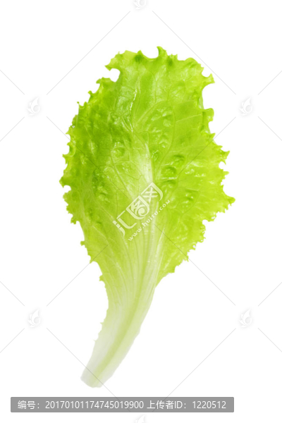 新鮮的生菜沙拉