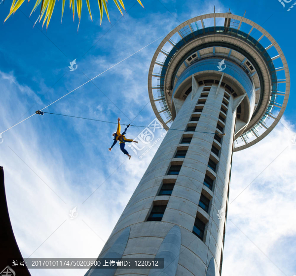 在奧克蘭天空塔蹦極