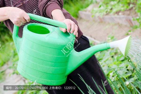 老年婦女在廚房花園里工作