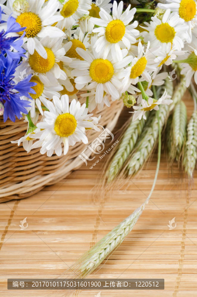 花籃中的美麗花朵