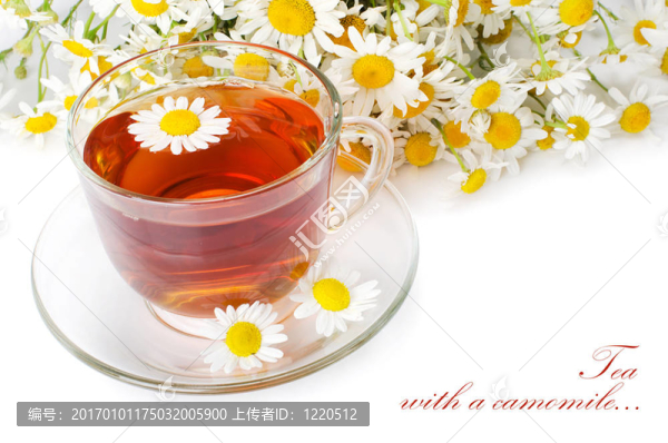 一杯甘菊茶