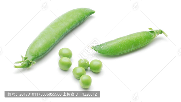 豌豆