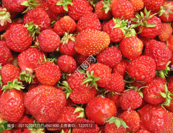 Strawberry特寫-漿果背景