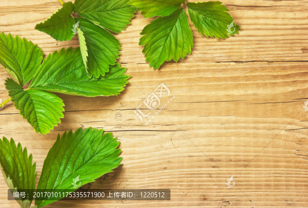 木制背景的草莓葉子