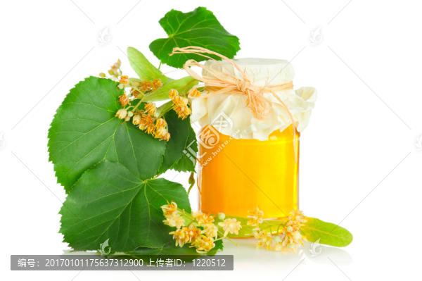 親愛(ài)的林登